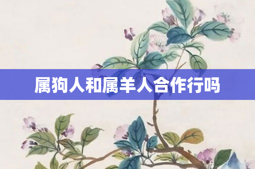 属狗人和属羊人合作行吗