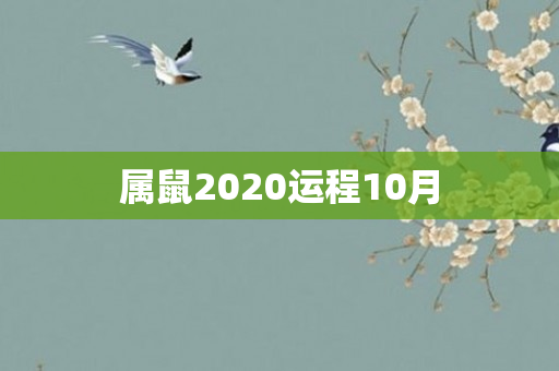 属鼠2020运程10月