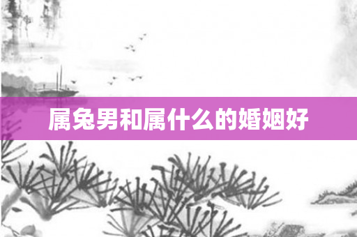属兔男和属什么的婚姻好