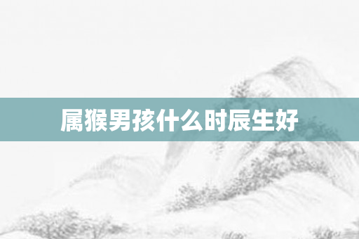 属猴男孩什么时辰生好