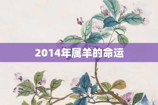 2014年属羊的命运