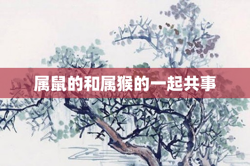 属鼠的和属猴的一起共事