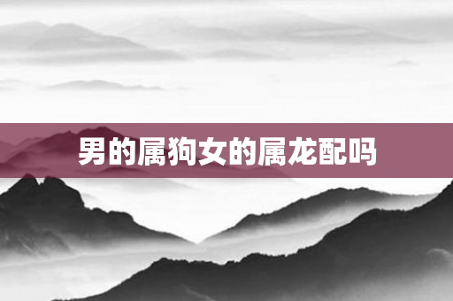 男的属狗女的属龙配吗