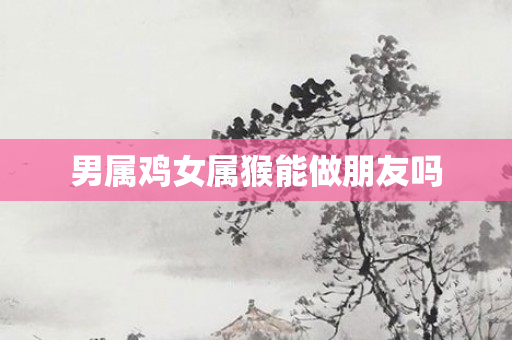 男属鸡女属猴能做朋友吗