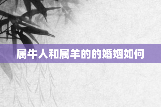 属牛人和属羊的的婚姻如何