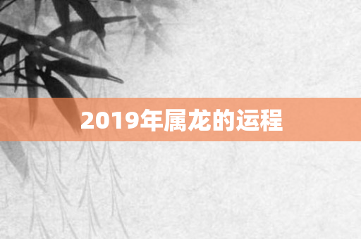 2019年属龙的运程