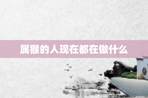 属猴的人现在都在做什么