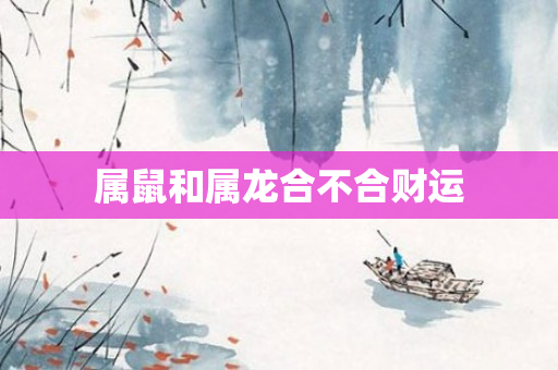 属鼠和属龙合不合财运
