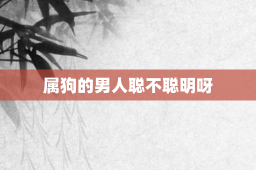 属狗的男人聪不聪明呀