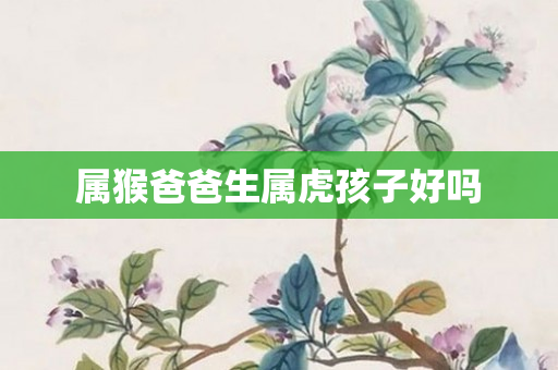 属猴爸爸生属虎孩子好吗