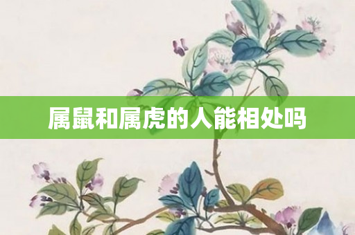 属鼠和属虎的人能相处吗