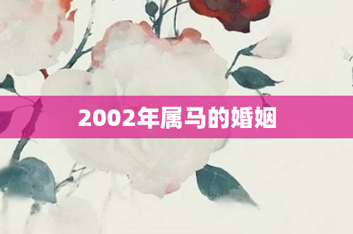 2002年属马的婚姻
