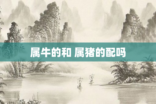 属牛的和 属猪的配吗