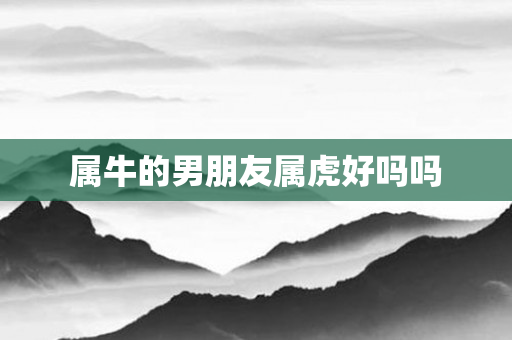 属牛的男朋友属虎好吗吗