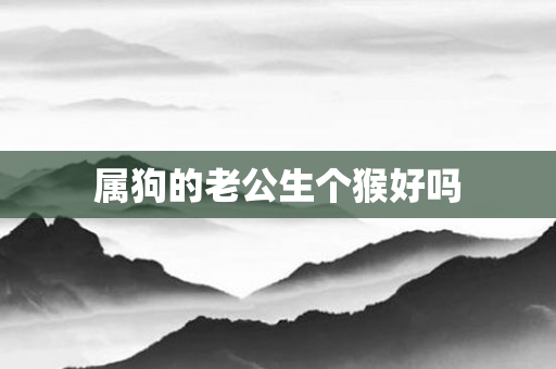 属狗的老公生个猴好吗