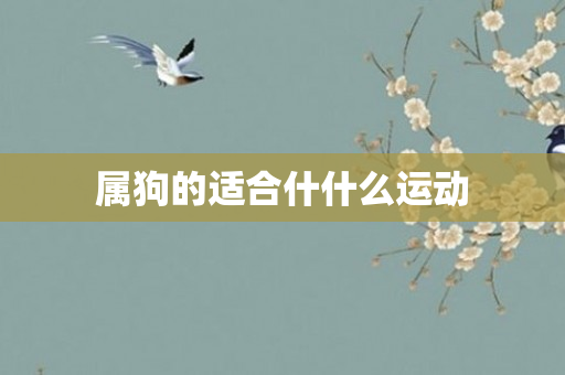 属狗的适合什什么运动