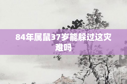 84年属鼠37岁能躲过这灾难吗