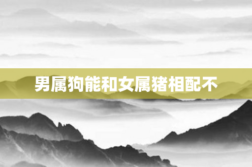 男属狗能和女属猪相配不