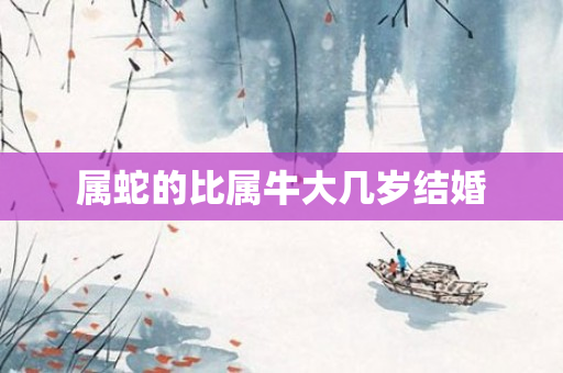 属蛇的比属牛大几岁结婚