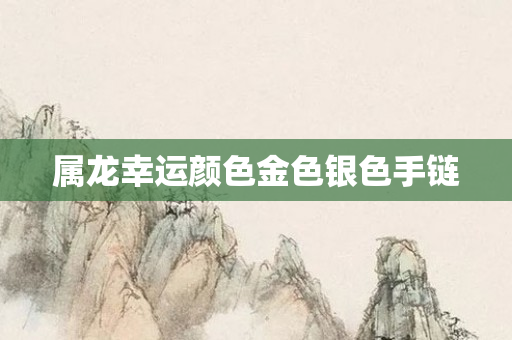 属龙幸运颜色金色银色手链