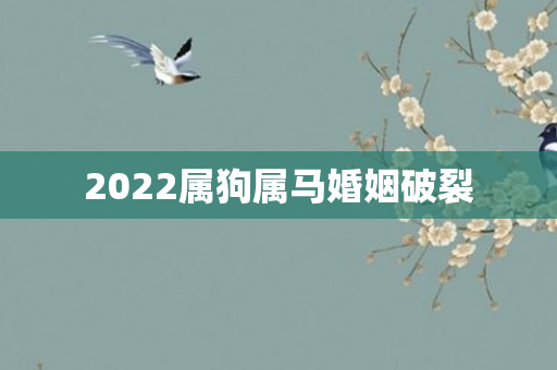 2022属狗属马婚姻破裂