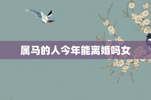 属马的人今年能离婚吗女