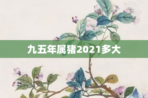 九五年属猪2021多大