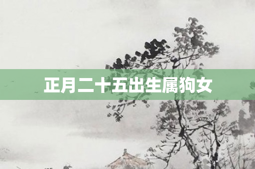 正月二十五出生属狗女