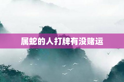 属蛇的人打牌有没赌运