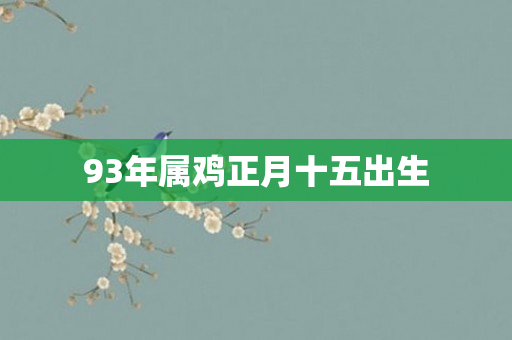 93年属鸡正月十五出生