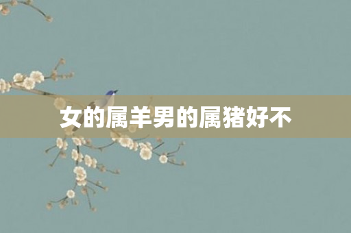 女的属羊男的属猪好不