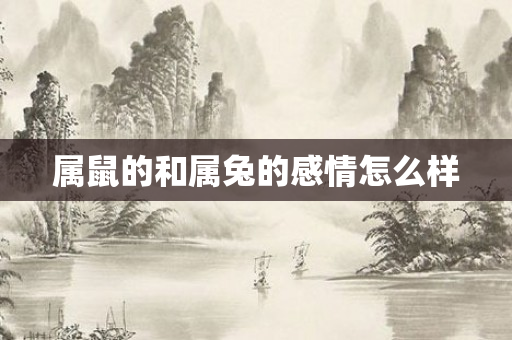 属鼠的和属兔的感情怎么样