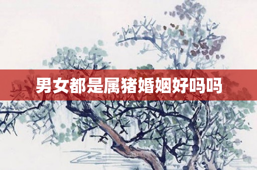 男女都是属猪婚姻好吗吗