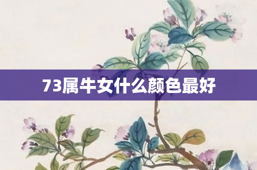 73属牛女什么颜色更好