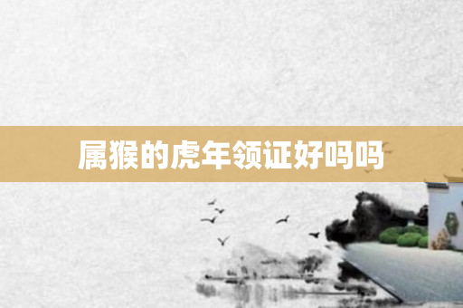 属猴的虎年领证好吗吗