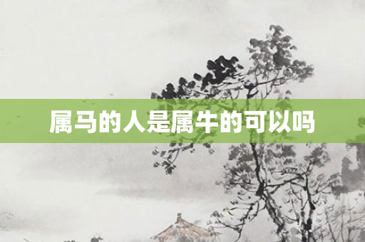 属马的人是属牛的可以吗