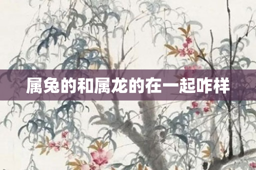 属兔的和属龙的在一起咋样