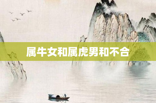 属牛女和属虎男和不合