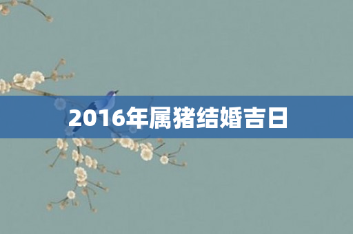 2016年属猪结婚吉日