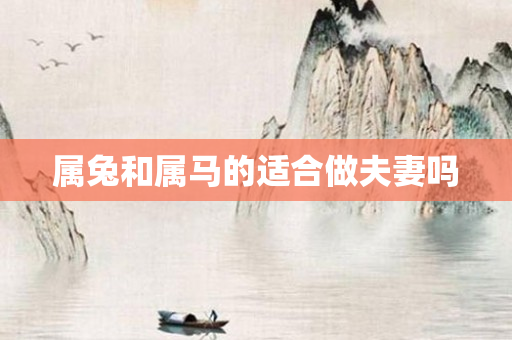 属兔和属马的适合做夫妻吗