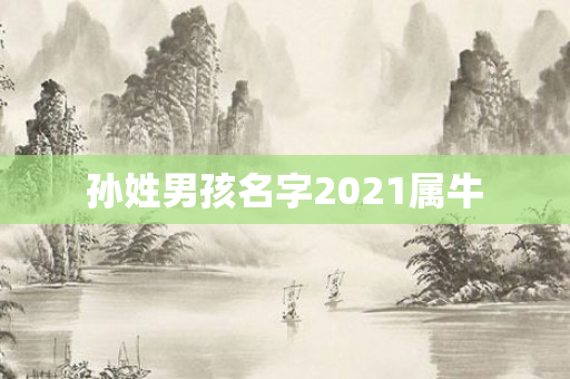 孙姓男孩名字2021属牛