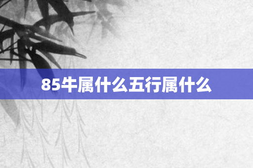 85牛属什么五行属什么