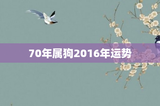 70年属狗2016年运势