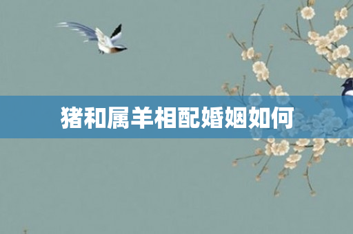 猪和属羊相配婚姻如何