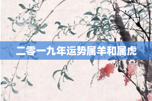 二零一九年运势属羊和属虎