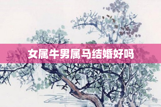 女属牛男属马结婚好吗