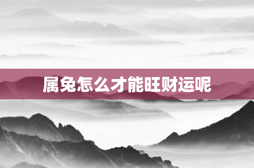 属兔怎么才能旺财运呢