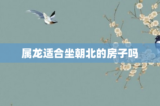 属龙适合坐朝北的房子吗