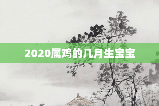 2020属鸡的几月生宝宝