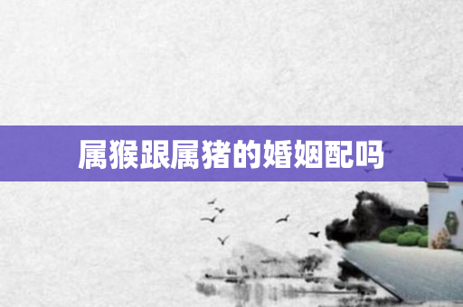 属猴跟属猪的婚姻配吗